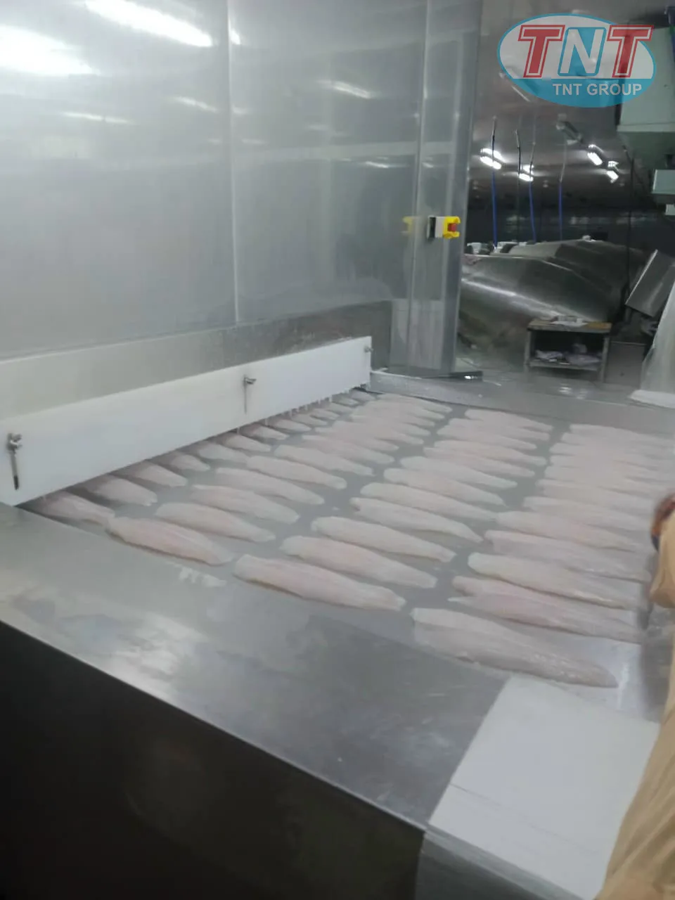 Cấp đông cá phi lê 2000kg1h - Ảnh 5