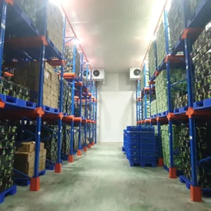 Nhà máy nông sản Antfarm tại Bến Lức & Đức Trọng