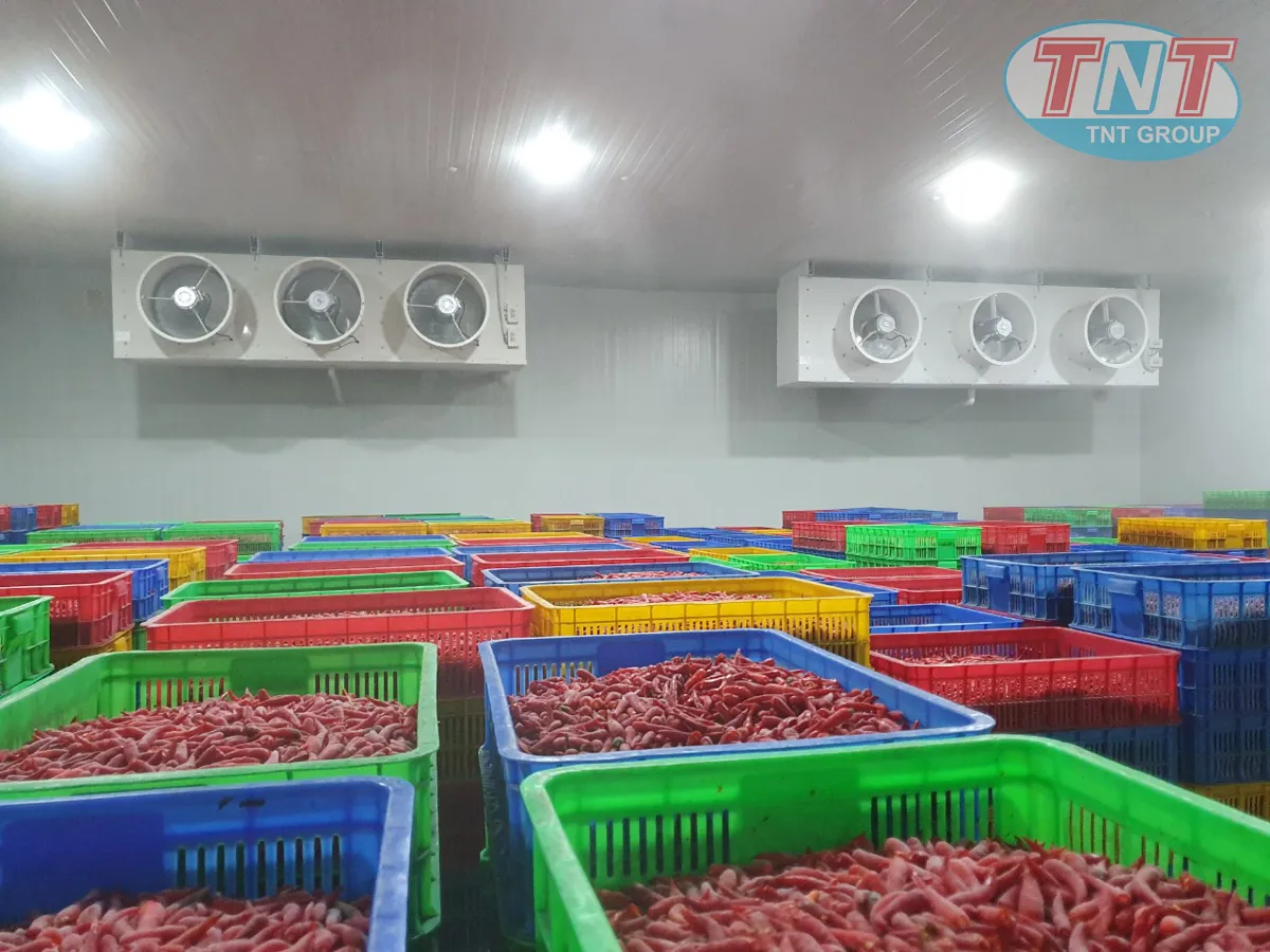 Dàn lạnh Diamond Cool - Ảnh 2