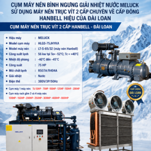 Alternative view of Cụm máy nén 2 cấp hiệu Hanbell