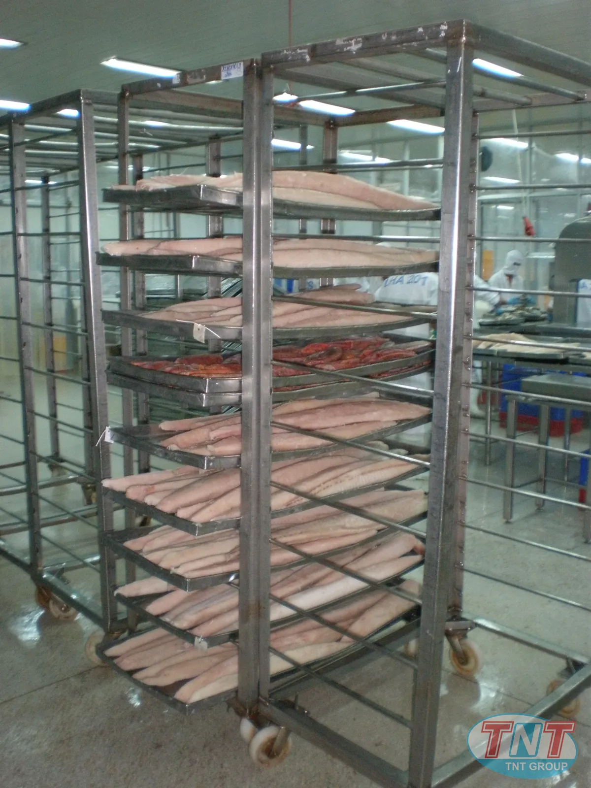 CẤP ĐÔNG GIÓ -45C - Ảnh 9