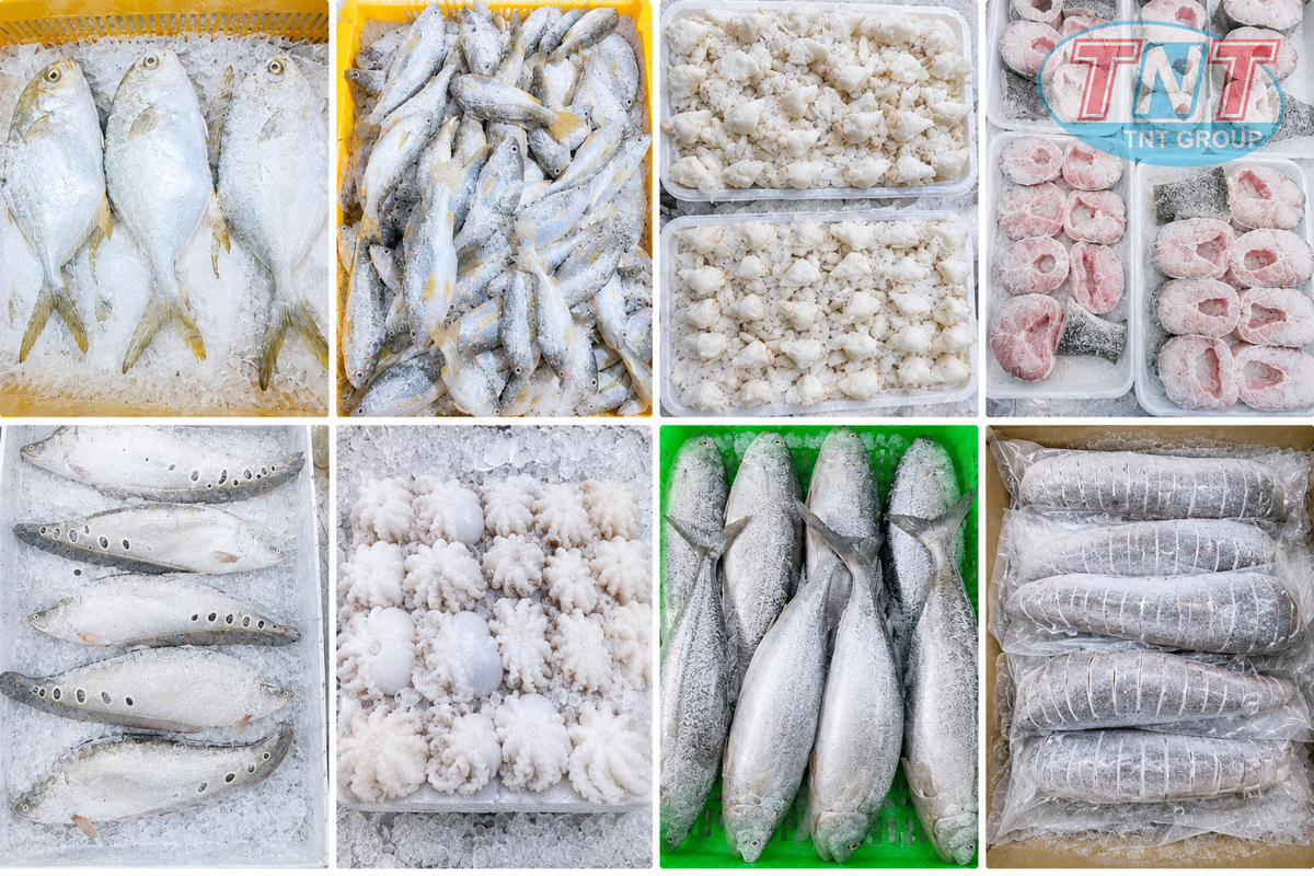 Nhà máy hải sản Phú Thịnh - Ảnh 8