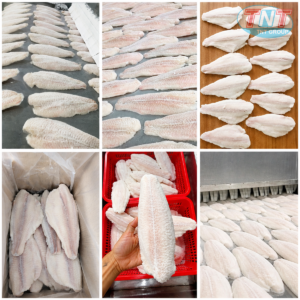 Cấp đông cá phi lê 2000kg1h
