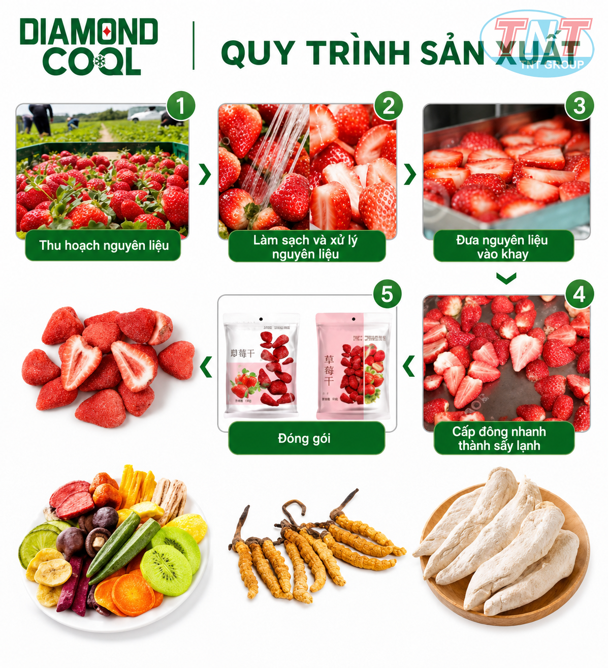 MÁY SẤY THĂNG HOA CHO TRÁI DÂU TÂY - Ảnh 7