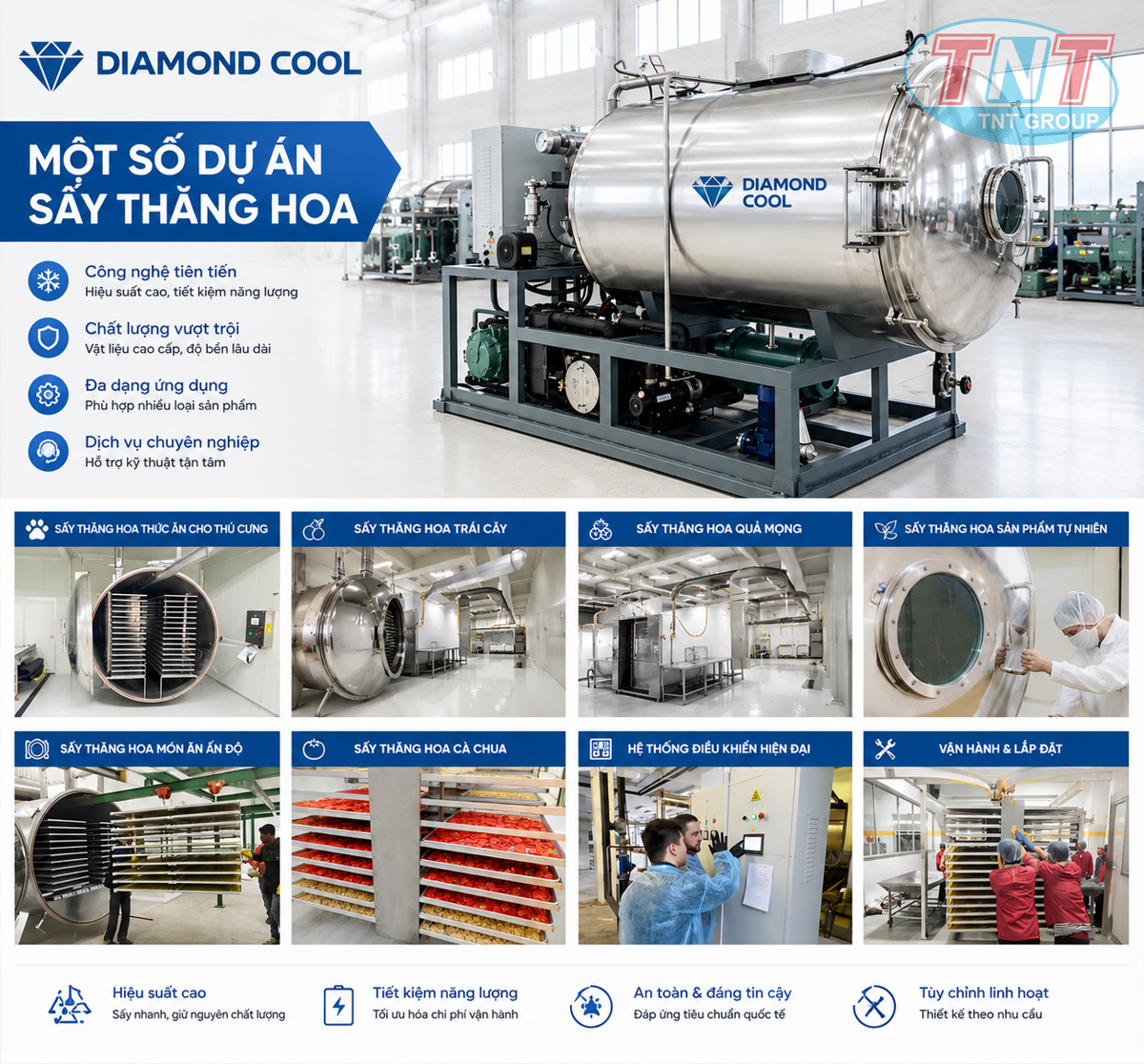 MÁY SẤY THĂNG HOA CHO TRÁI DÂU TÂY - Ảnh 5