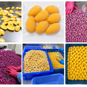 Cấp đông IQF tầng sôi cho xoài hại lựu 2.000KG