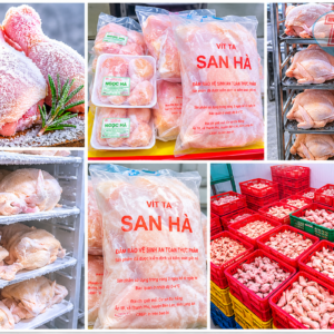 Cấp đông gia cầm - Gà - Vịt