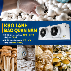 Kho Lạnh trữ nấm