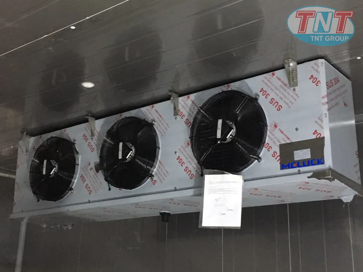Dàn Lạnh Meluck chẩu Châu Âu - Ảnh 5