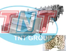 IQF NI TƠ - Ảnh 8