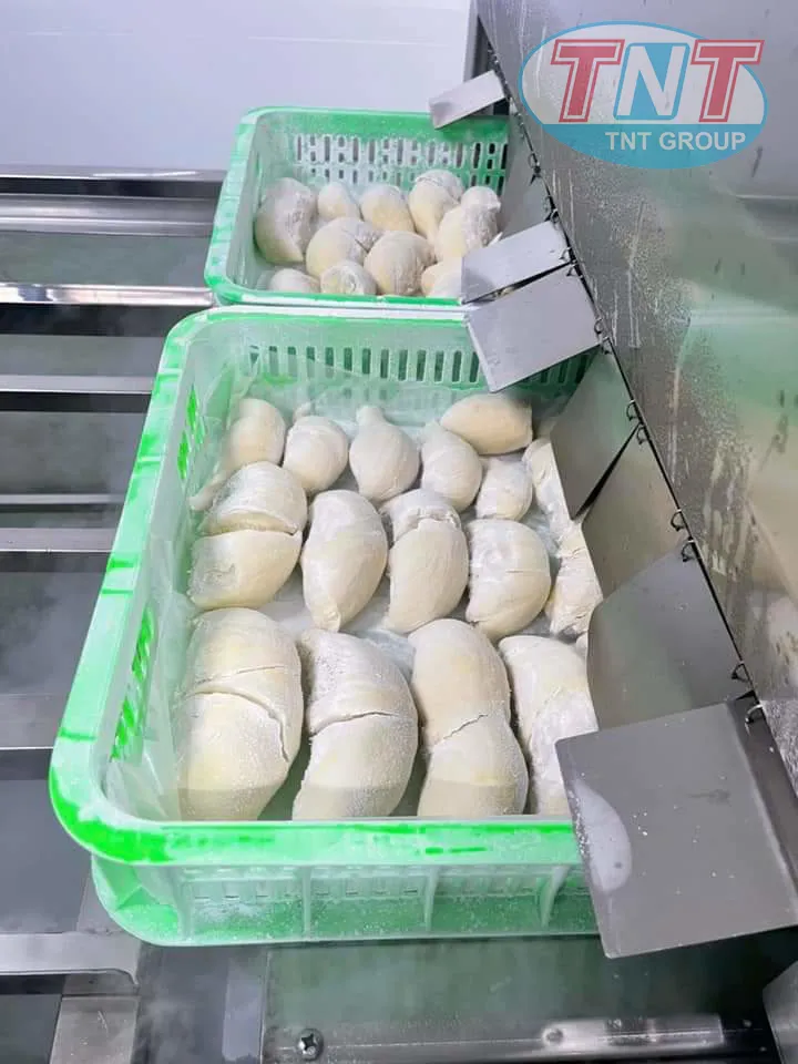 IQF NI TƠ - Ảnh 3