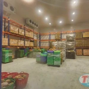 Nhà máy Sầu Riêng Gifa tại KCN Vĩnh Lộc 2 Long An