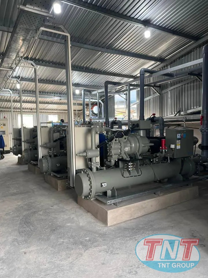 CẤP ĐÔNG GIÓ -45C - Ảnh 5
