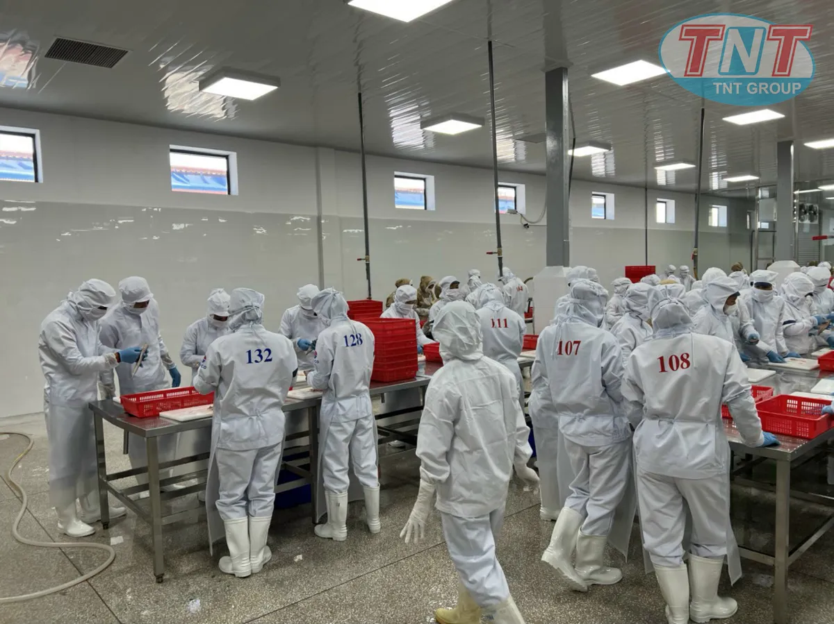 Nhà máy hải sản Phú Thịnh - Ảnh 6