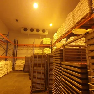 Nhà máy cấp đông ớt xuất khẩu DPH