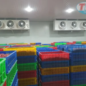 Alternative view of Nhà máy cấp đông ớt xuất khẩu DPH