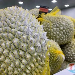 Alternative view of Cấp đông trái sầu riêng 5 tấn
