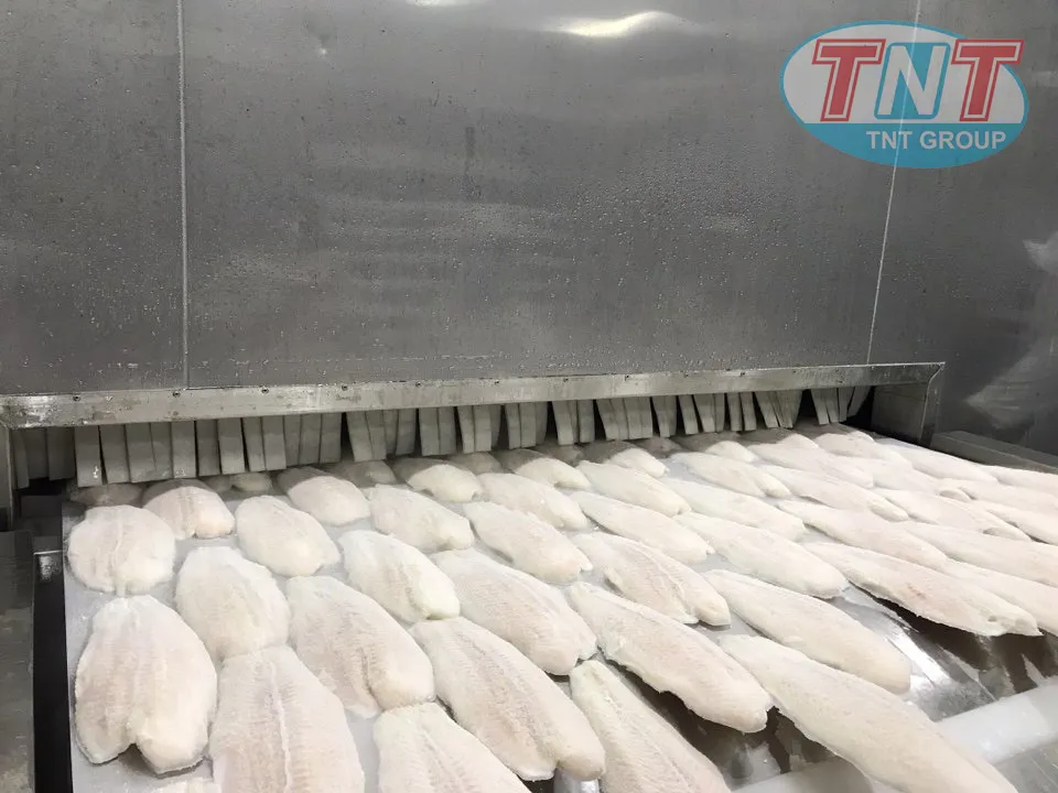 Cấp đông cá phi lê 2000kg1h - Ảnh 4