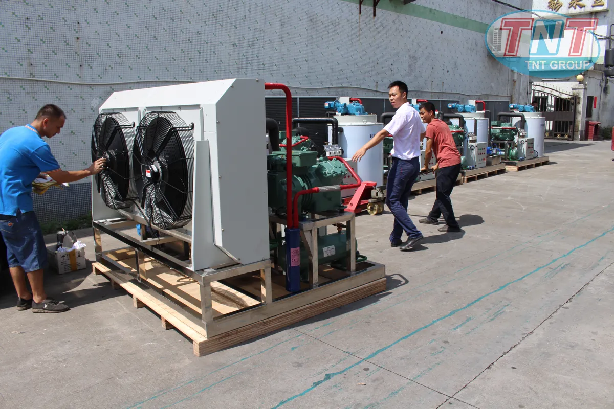 MÁY ĐÁ VẢY 10 TẤN 24 GIỜ - Ảnh 5