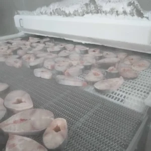 Alternative view of Cấp đông IQF Cá 1500kg1H