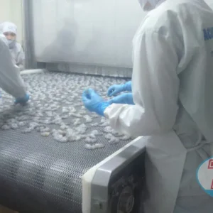 Alternative view of Cấp đông IQF lưới cho tôm xuất khẩu 2000kg1H