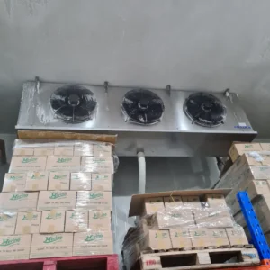 Alternative view of Kho Trữ đông cho Kem với sức chứa từ 1 tấn đến 1.000 tấn hàng