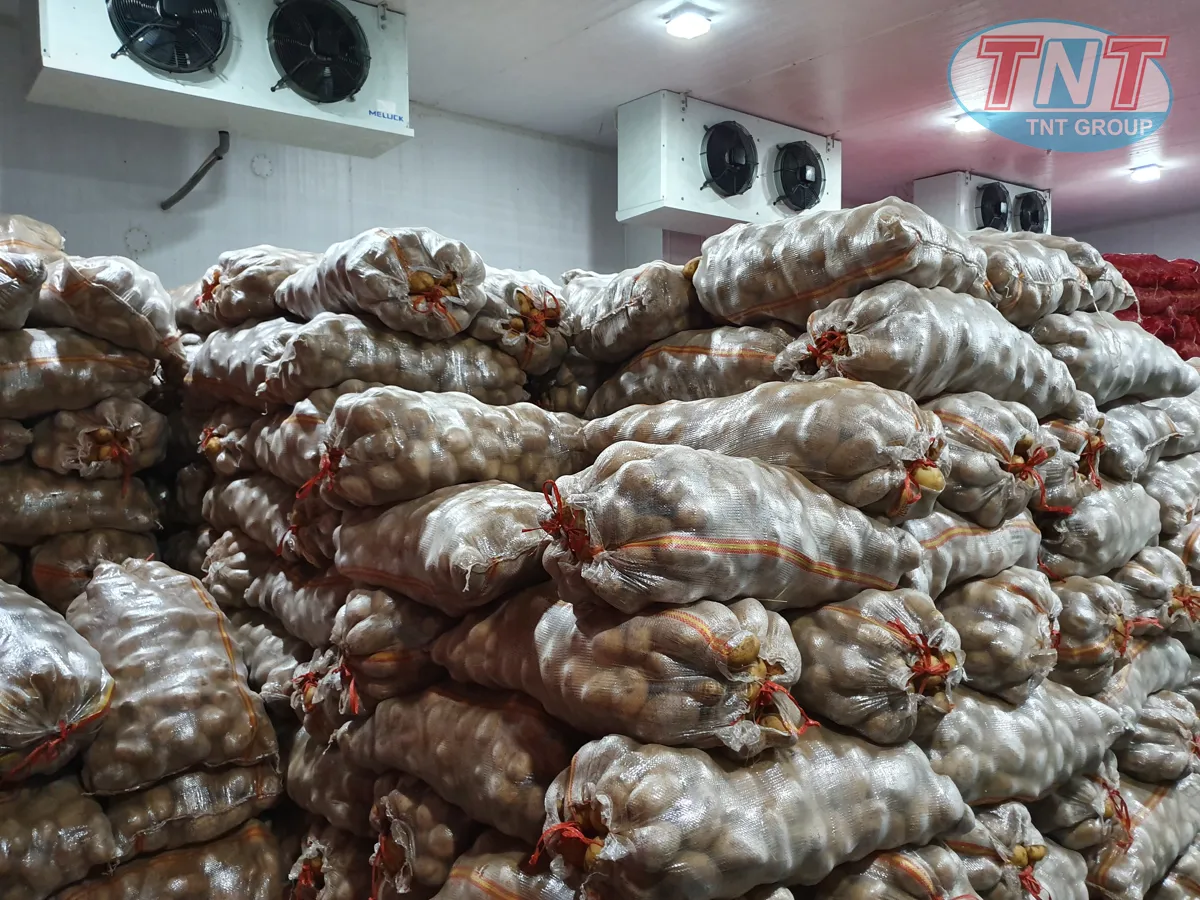 kho bảo quả nông sàn - rau - củ - quả - Ảnh 9