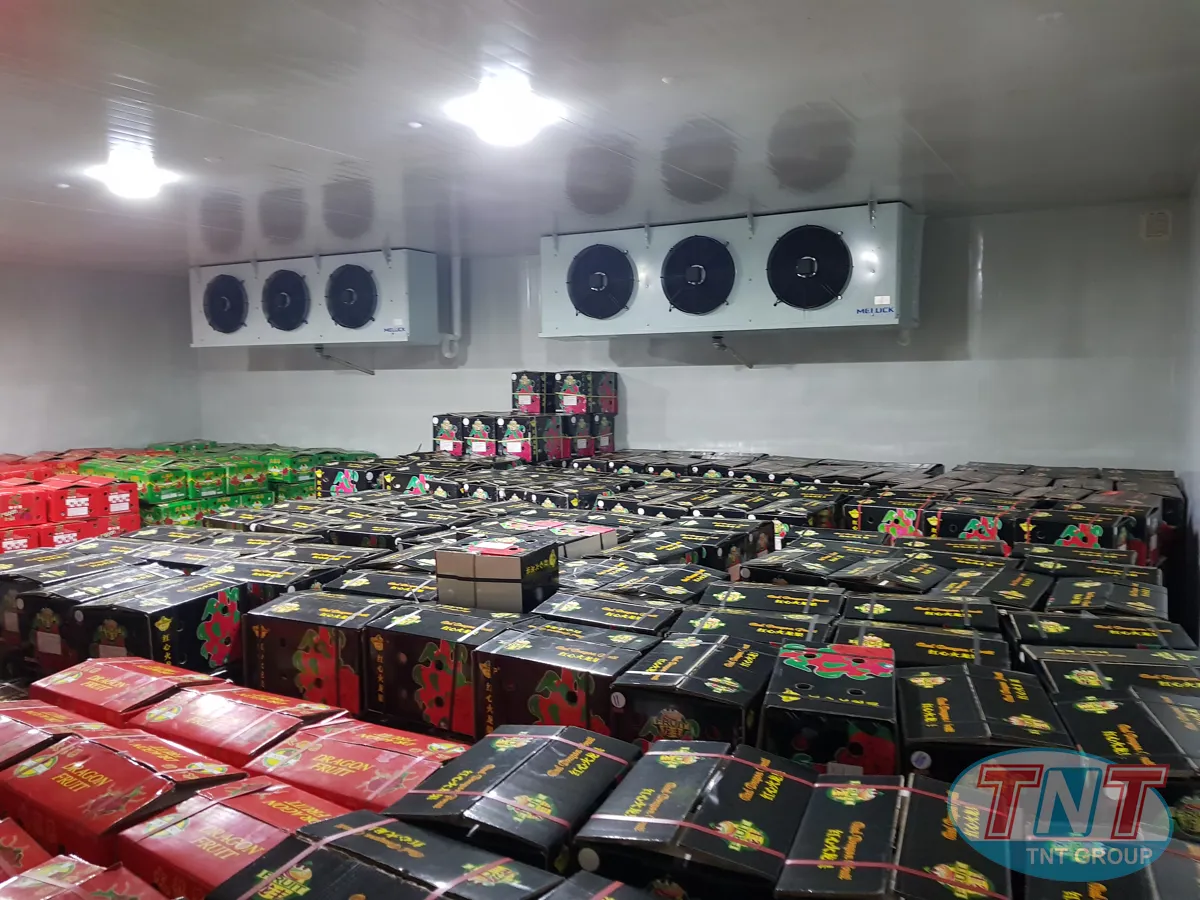 kho bảo quả nông sàn - rau - củ - quả - Ảnh 2