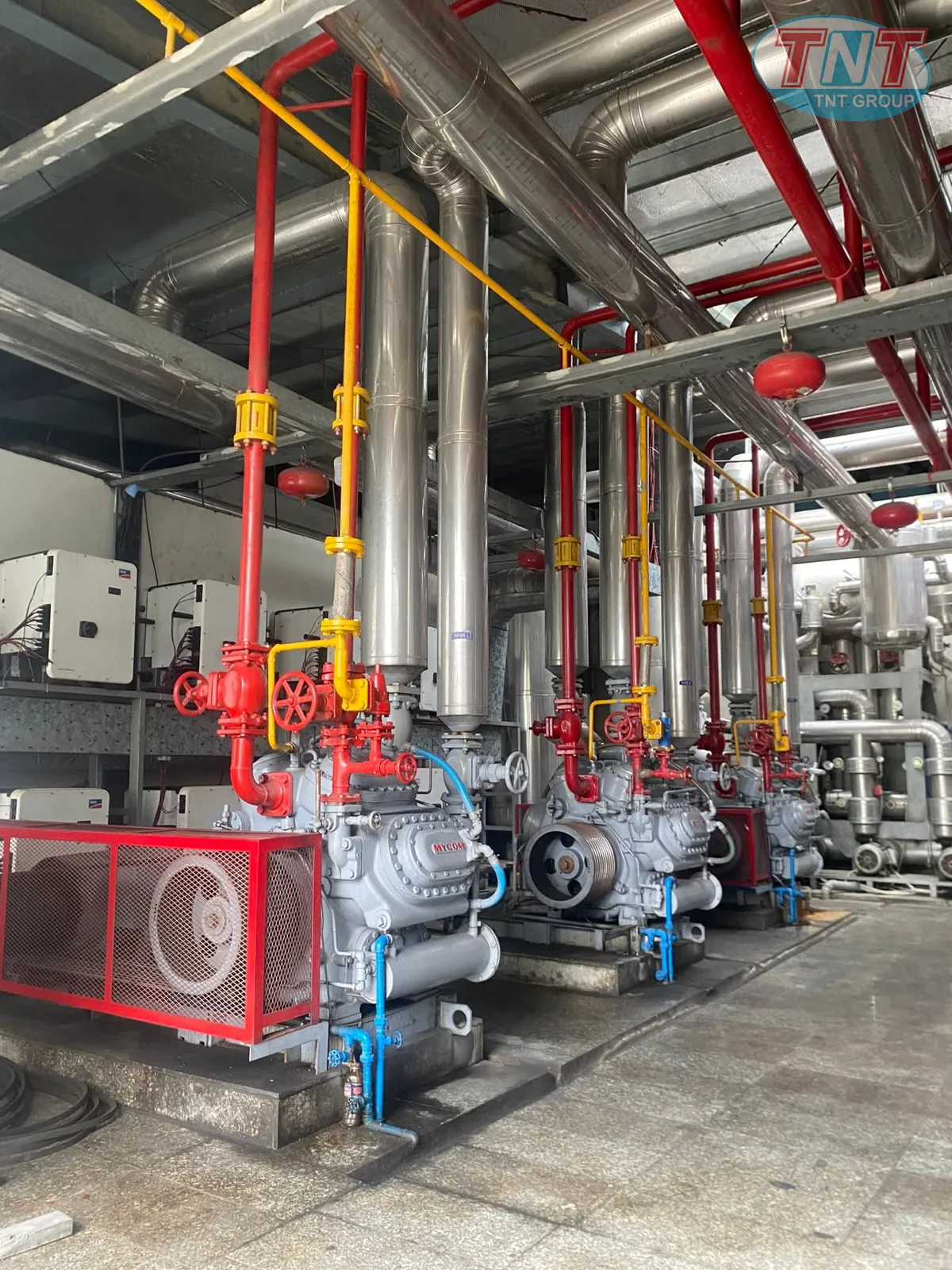 Nhà máy hải sản Phú Thịnh - Ảnh 5