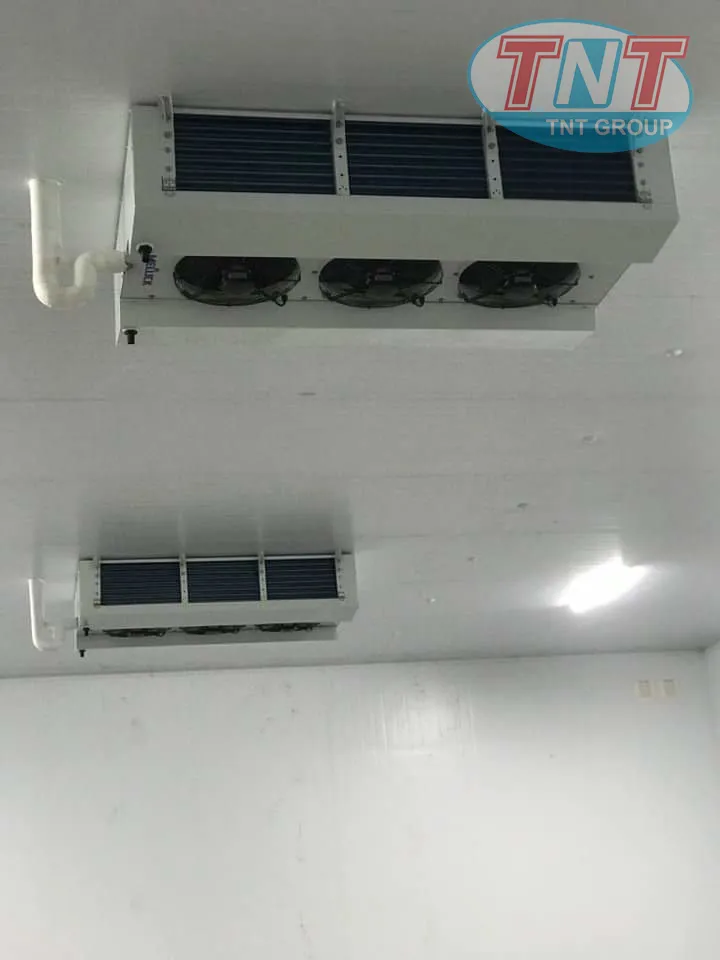 Dàn Lạnh Meluck chẩu Châu Âu - Ảnh 4