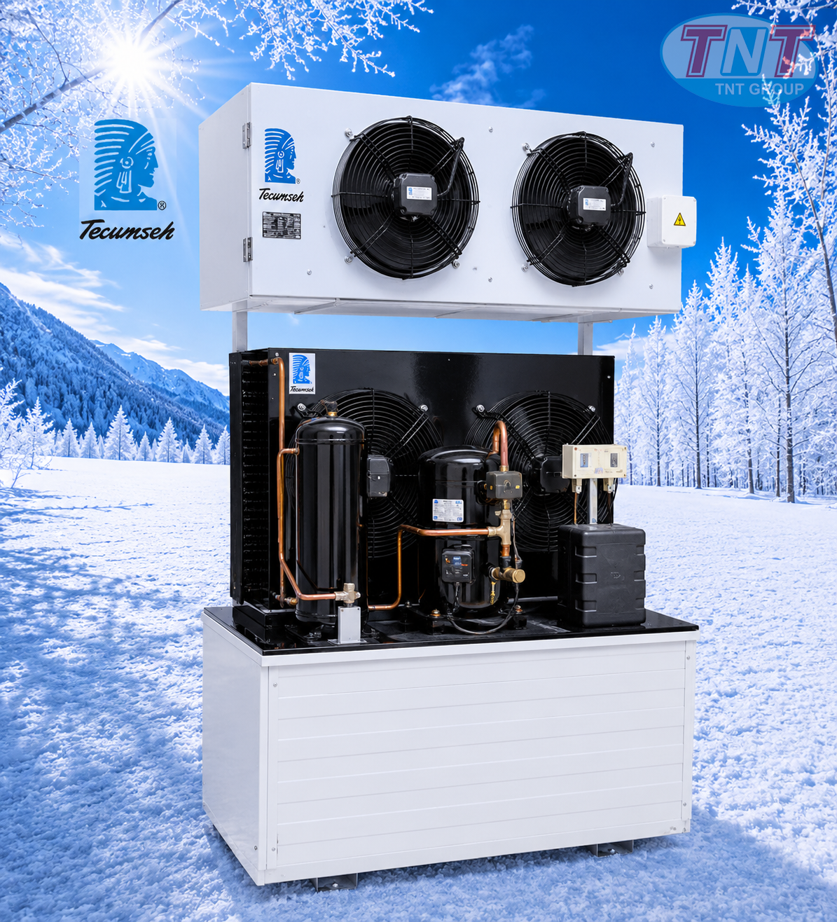 Máy nén Tecumseh của Pháp - Ảnh 3