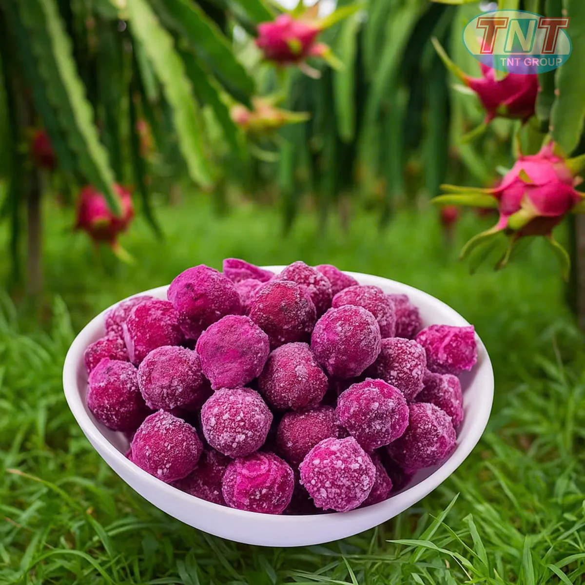 MÁY SẤY THĂNG HOA - THANH LONG - CHANH DÂY - Ảnh 3