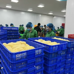 Alternative view of CẤP ĐÔNG 10 TẤN MÚI SẦU RIÊNG -45C