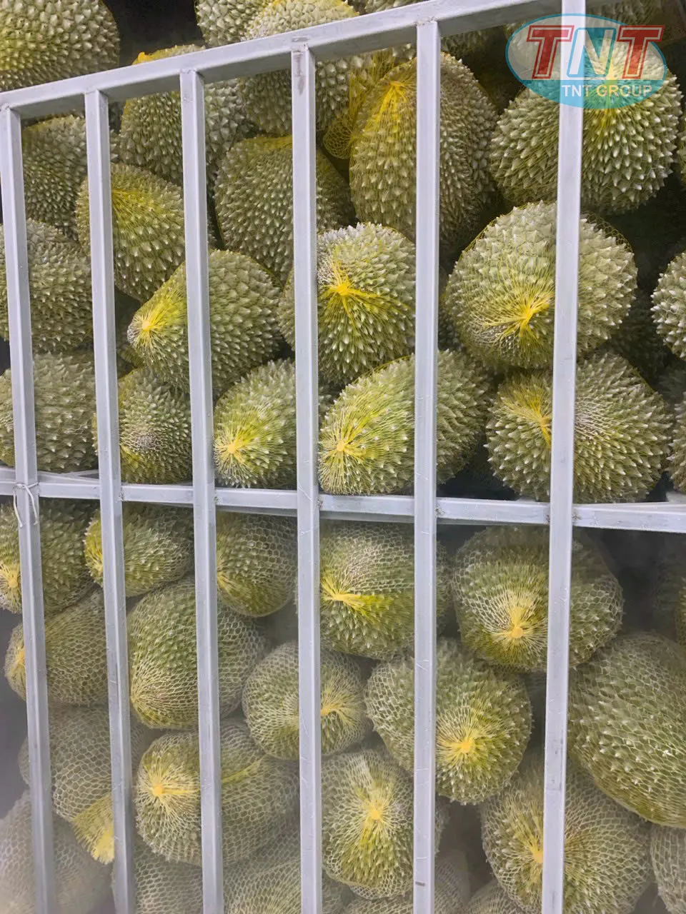 Tủ ni tơ lỏng -196C - Ảnh 8