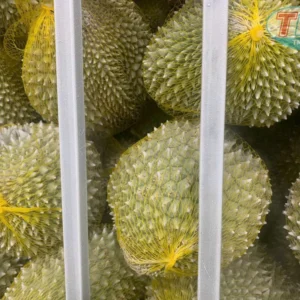 tủ cấp đông ni tơ -196C cho trái sầu riêng