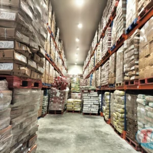 Dự án kho trữ đông 3.000 pallets tại Công ty Thạnh Vân Frozen Food – Bình Chánh (2023)