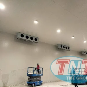 Alternative view of Dự án kho trữ đông 3.000 pallets tại Công ty Thạnh Vân Frozen Food – Bình Chánh (2023)