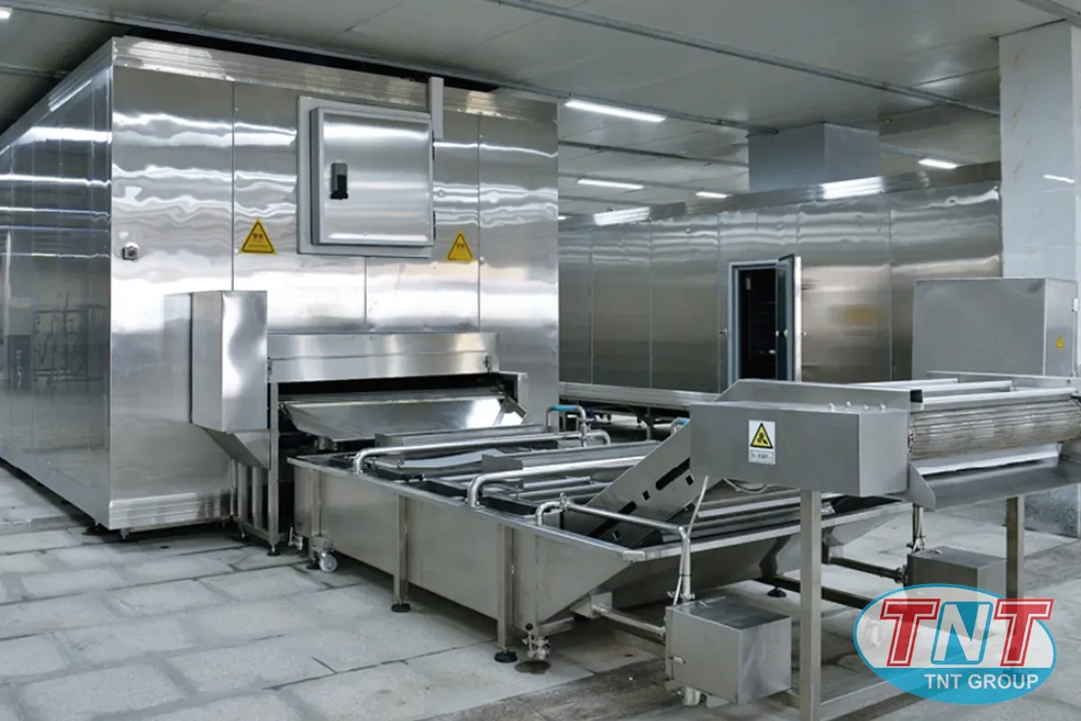 Cấp đông cá phi lê 2000kg1h - Ảnh 2