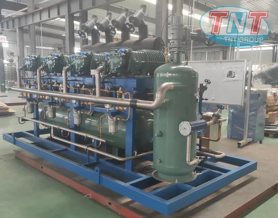 CỤM MÁY NÉN TRỤC VÍT SỬ DỤNG MÁY NÉN SẢN XUẤT TẠI ĐỨC - Ảnh 3