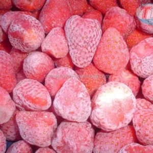 CẤP ĐÔNG NI TƠ LỎNG ÂM 196°C CHUYÊN GIA CẤP ĐÔNG NHANH