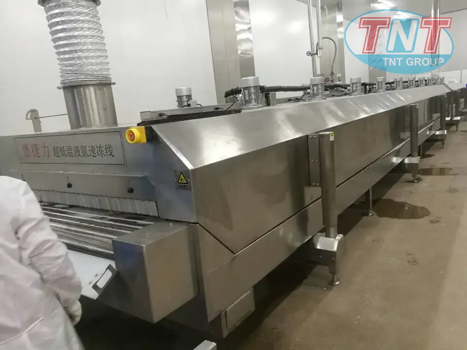 IQF SIÊU TỐC -196C MÚI SẦU RIÊNG - Ảnh 7