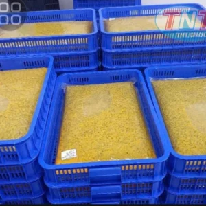 cấp đông dịch chanh dây xuất khẩu