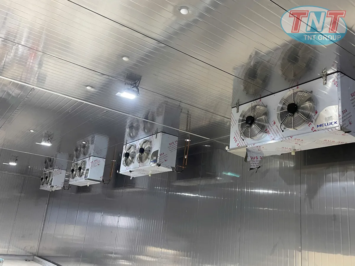 Dàn Lạnh Meluck chẩu Châu Âu - Ảnh 2
