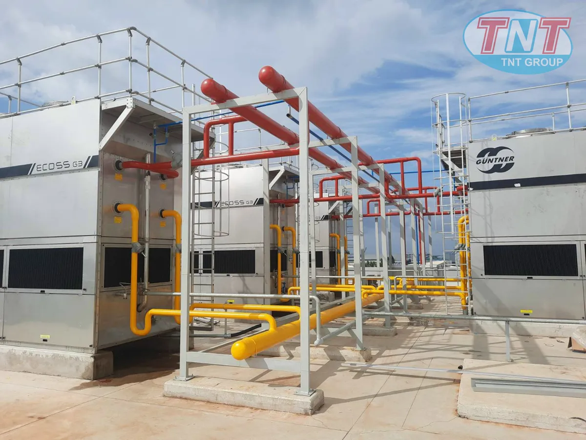 Cấp đông cá phi lê 2000kg1h - Ảnh 8